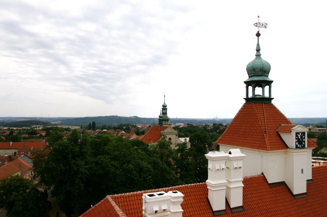 Podkroví s koupelnou Svinarov Exterior foto