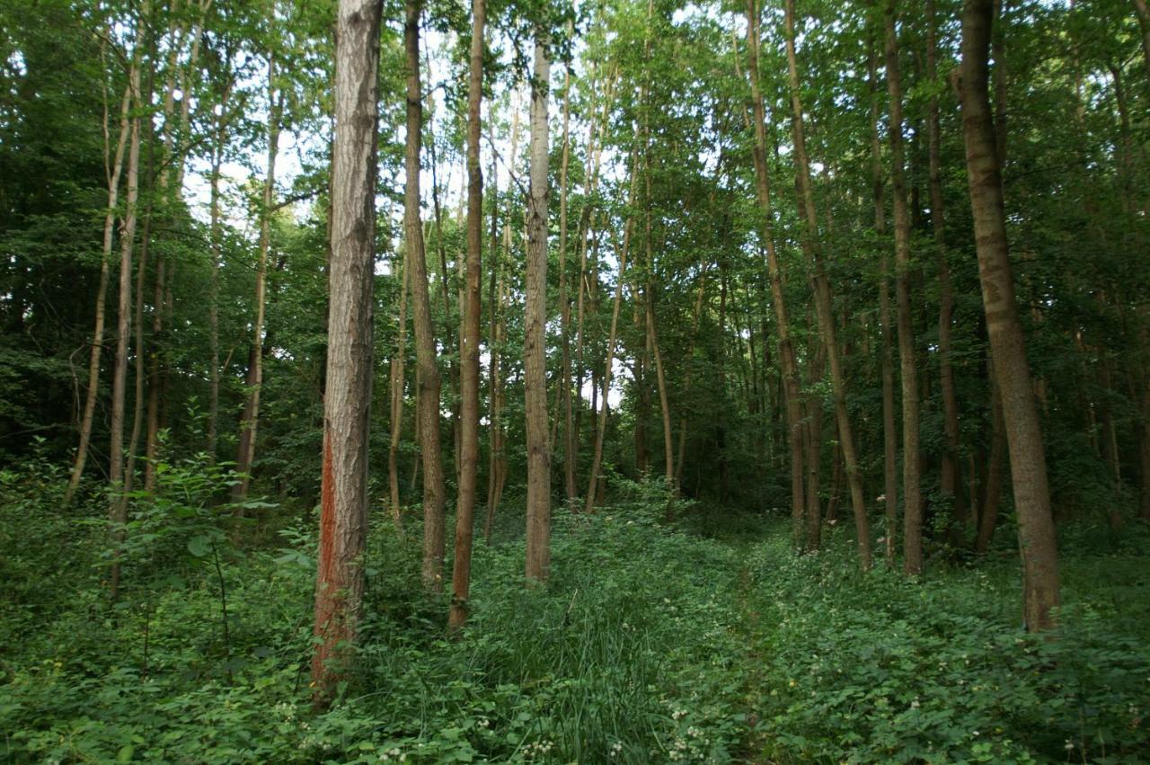 Podkroví s koupelnou Svinarov Exterior foto