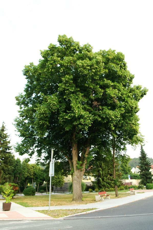 Podkroví s koupelnou Svinarov Exterior foto